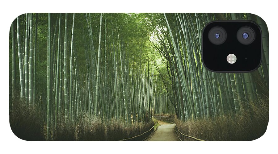 Tranquility iPhone 12 Case featuring the photograph The Path Of Bamboo Near Arashiyama by Marser