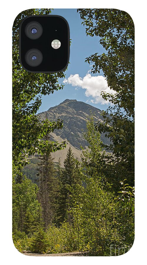 Forest iPhone 12 Case featuring the photograph The Path to Running Eagle Falls by Natural Focal Point Photography