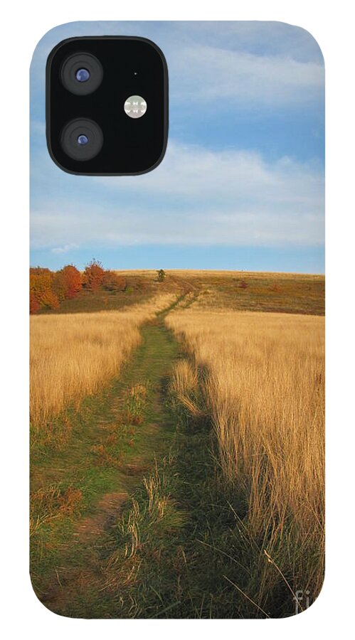 Max Patch iPhone 12 Case featuring the photograph The Trail by Anita Adams