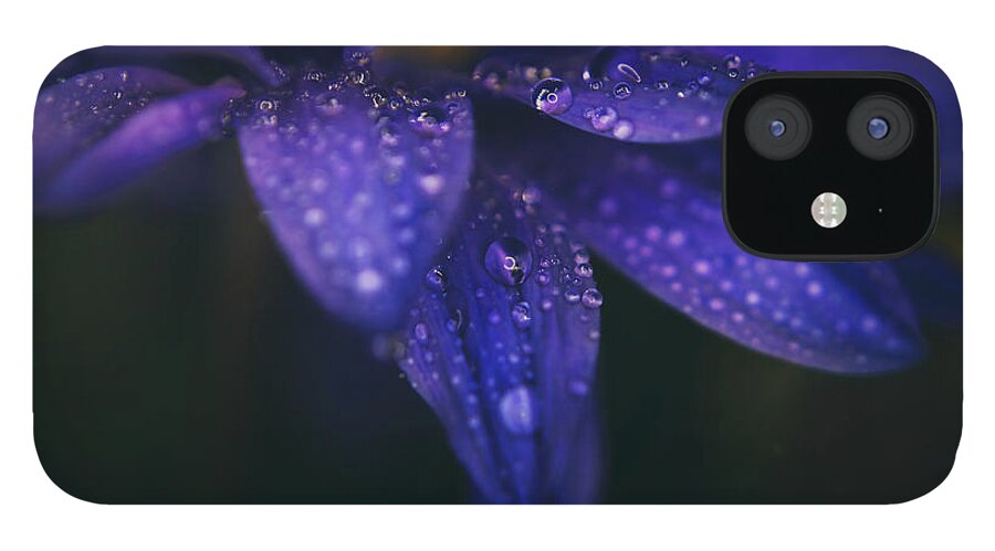 Flowers iPhone 12 Case featuring the photograph Those Tears You Cry by Laurie Search