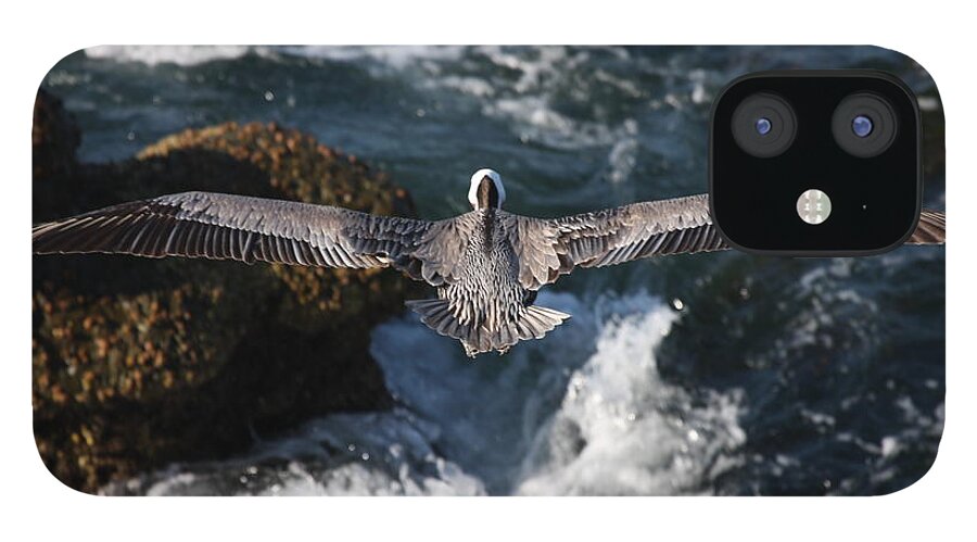 Pelican iPhone 12 Case featuring the photograph Through the eyes of a pelican by Nathan Rupert