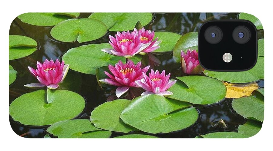 Waterlilies iPhone 12 Case featuring the photograph Togetherness by Kathie Chicoine