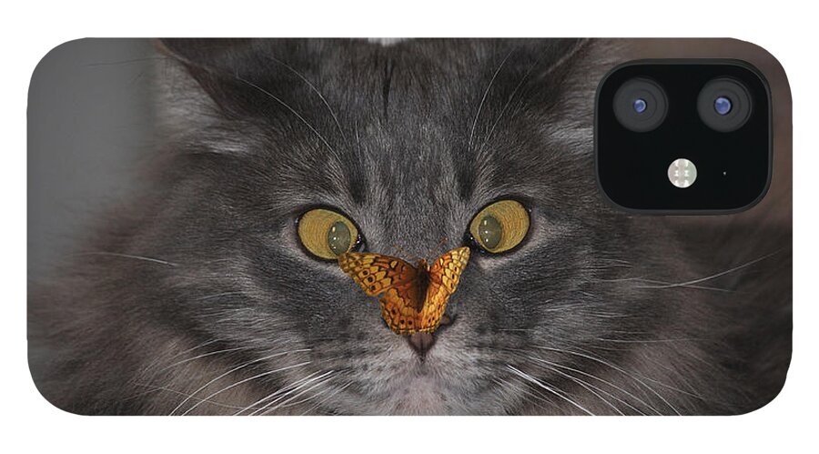 Cat iPhone 12 Case featuring the photograph Tolerance by Shane Bechler