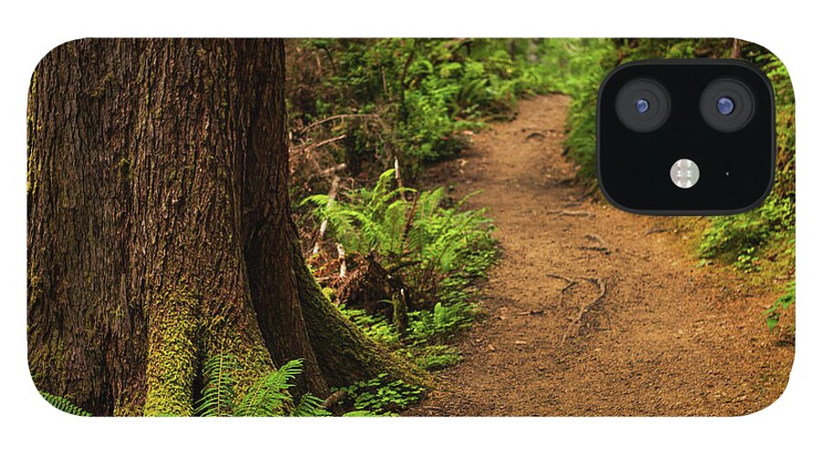 Scenics iPhone 12 Case featuring the photograph Trail Through Forest by Andipantz