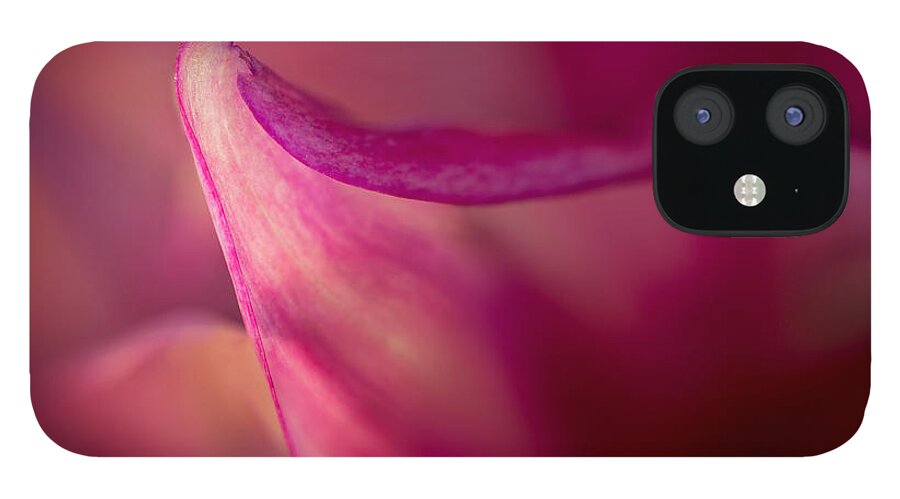 Floral iPhone 12 Case featuring the photograph Translucent by Mary Jo Allen