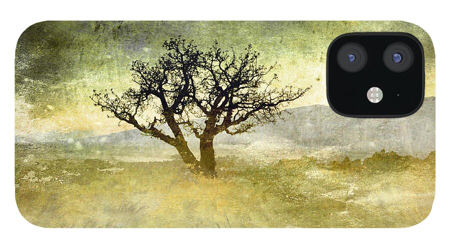 Trees iPhone 12 Case featuring the photograph Tree at Dusk in Waikoloa 3 by Ellen Cotton