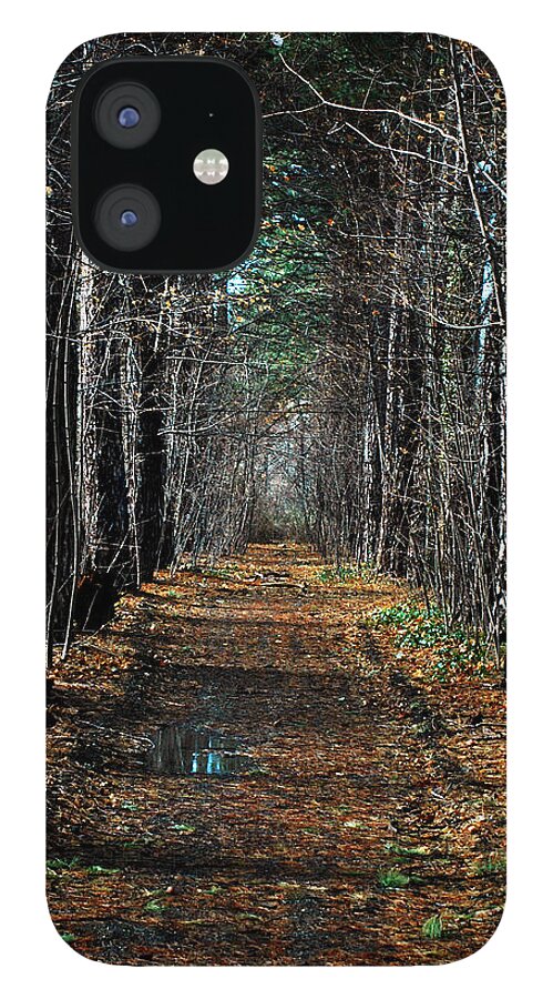 Path iPhone 12 Case featuring the photograph Tree Chute by David Armstrong
