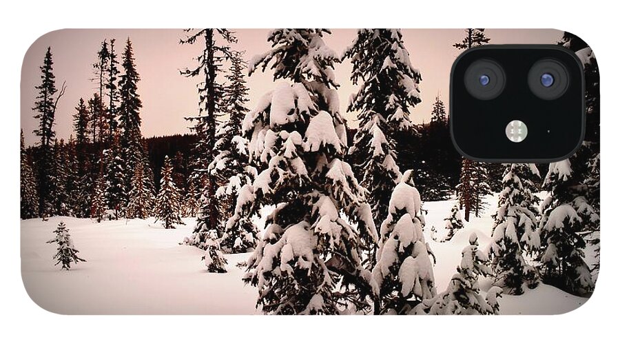 Apex Mountain iPhone 12 Case featuring the photograph TwilightWinter by Guy Hoffman