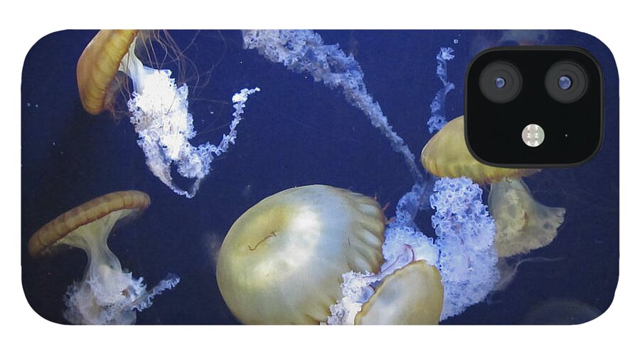 Jelly Fish iPhone 12 Case featuring the photograph Under the Sea 2 by Richard Stedman