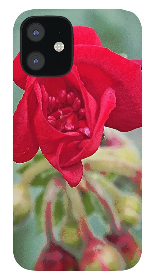 Red iPhone 12 Case featuring the photograph Unfolding by Tg Devore