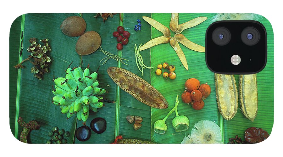 00760014 iPhone 12 Case featuring the photograph Variety Of Seeds And Fruits by Christian Ziegler