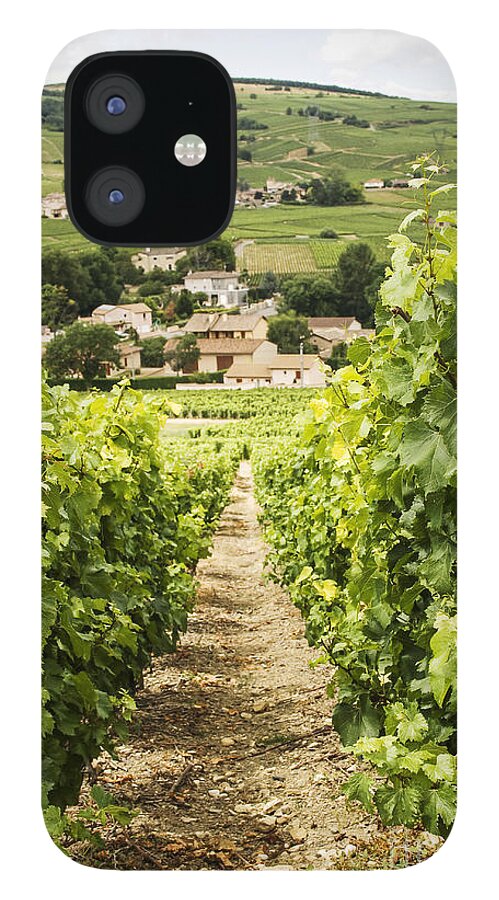 Vineyard iPhone 12 Case featuring the photograph Vineyard with view on Burgundy village by Patricia Hofmeester