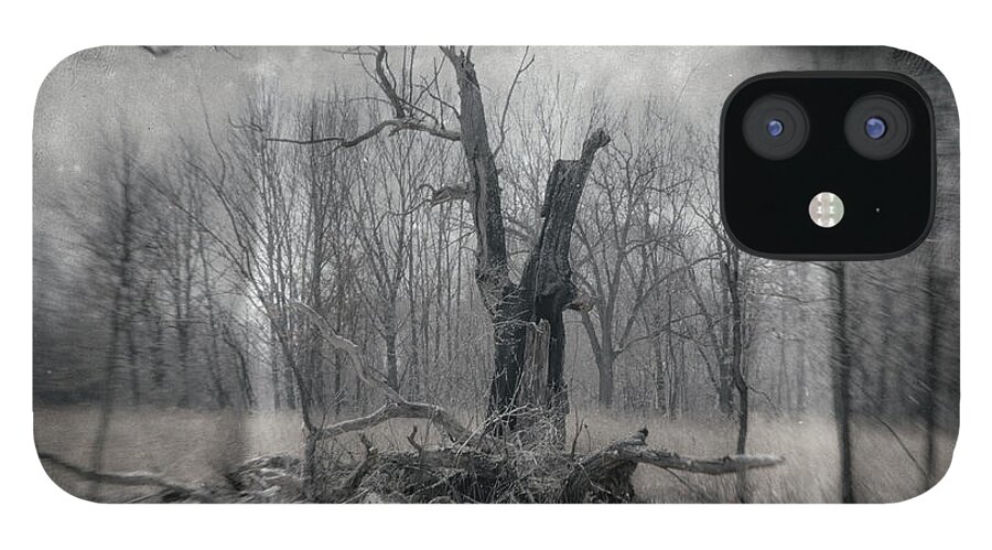 Black & White iPhone 12 Case featuring the photograph Visitor In The Woods by Jim Shackett