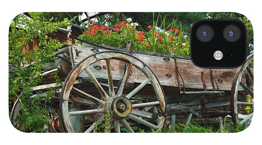  Antique Wagon iPhone 12 Case featuring the photograph Wagon Garden by Kae Cheatham