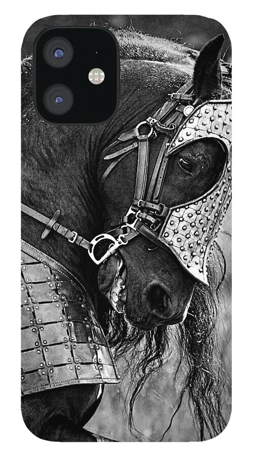 Warrior Horse iPhone 12 Case featuring the photograph Warrior Horse by Wes and Dotty Weber