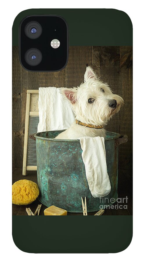 Dog iPhone 12 Case featuring the photograph Wash Day by Edward Fielding