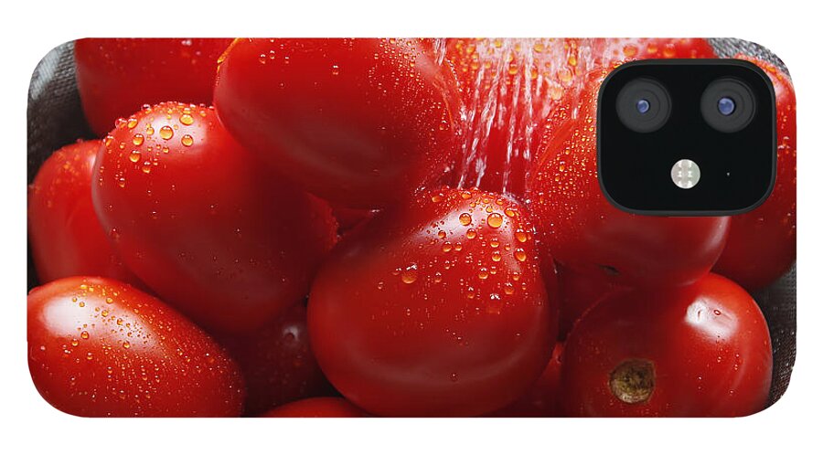 Garden iPhone 12 Case featuring the photograph Washing the Garden Harvest by Lincoln Rogers