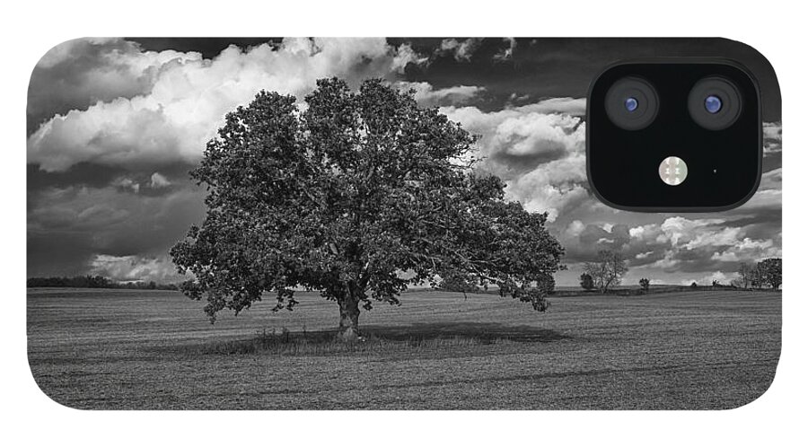 Flickr Explore iPhone 12 Case featuring the photograph Weathered Oak by Dan Hefle