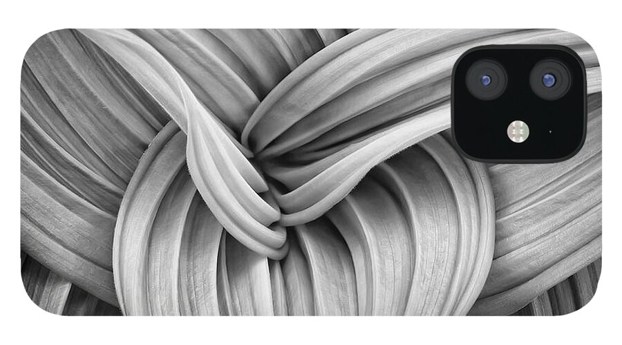 Black And White iPhone 12 Case featuring the photograph Web and Flow by Darylann Leonard Photography