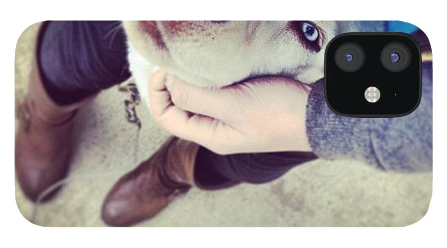Well Hello There Leo. #husky iPhone 12 Case by Lydia Campisi - Mobile  Prints