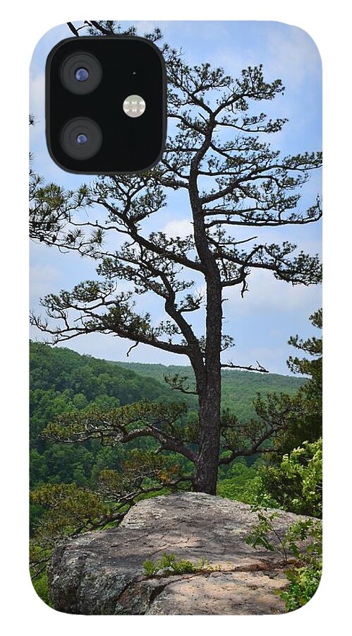 Whitaker Point iPhone 12 Case featuring the photograph Whitaker Point Trail by Laureen Murtha Menzl