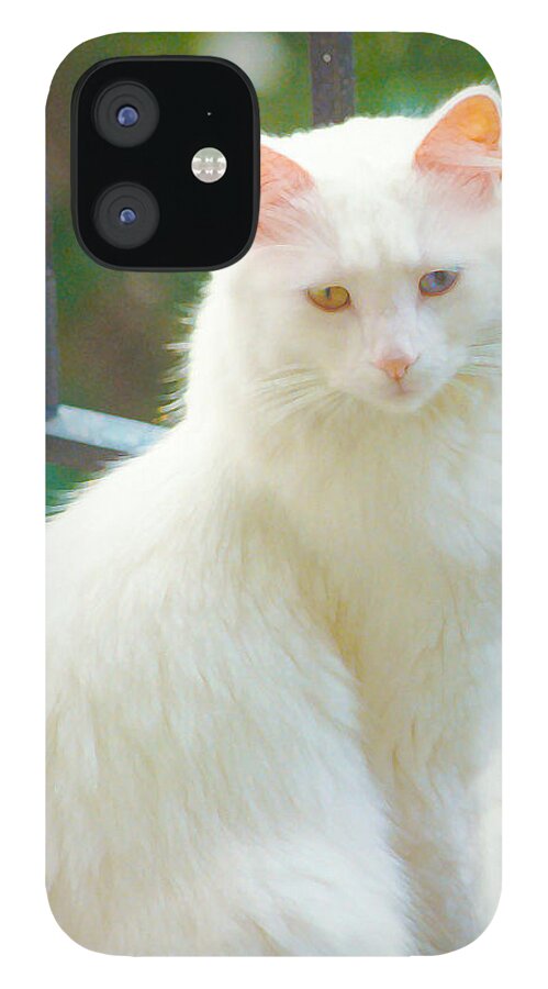 White Cat iPhone 12 Case featuring the photograph White Cat by Lynn Hansen