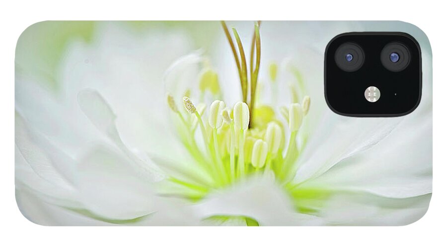 Buckinghamshire iPhone 12 Case featuring the photograph White Hellebore Flower by Jacky Parker Photography