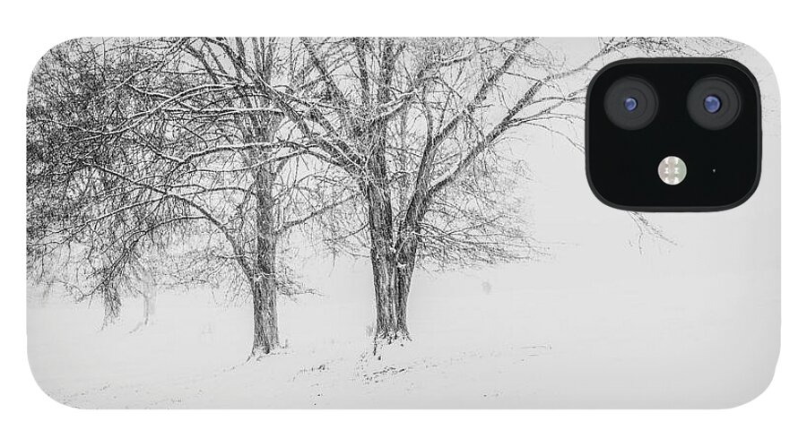 Winter Landscape iPhone 12 Case featuring the photograph White Out by David Waldrop