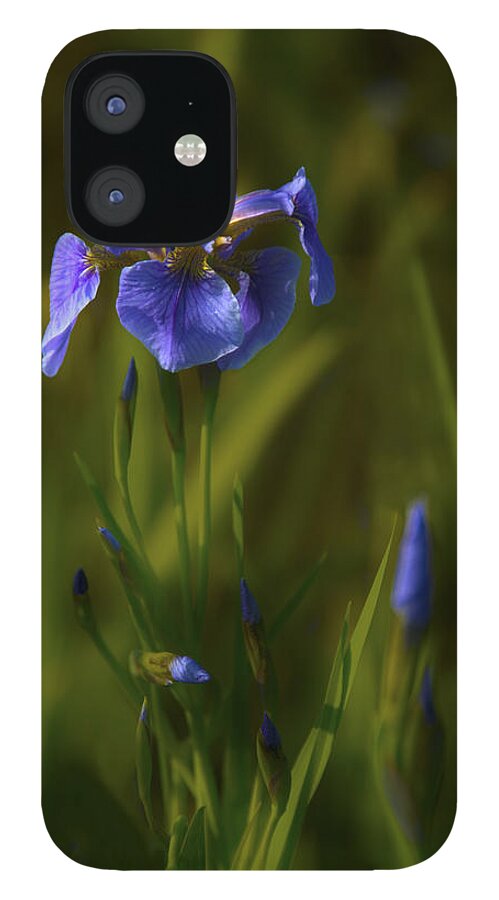 Alaska iPhone 12 Case featuring the photograph Wild Alaskan Iris by Penny Lisowski