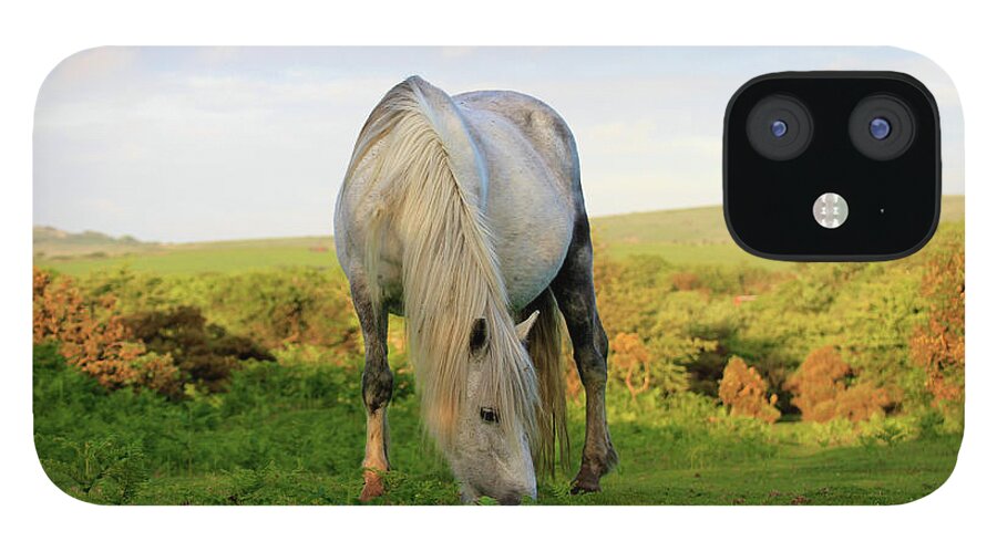 Horse iPhone 12 Case featuring the photograph Wild Horses In Cornwall, Uk by Www.bridgetdavey.com