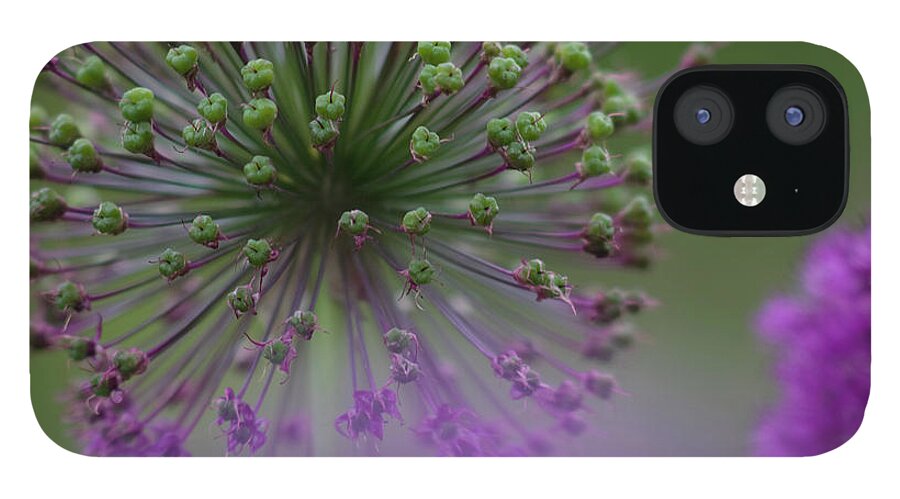 Allium iPhone 12 Case featuring the photograph Wild Onion by Heiko Koehrer-Wagner