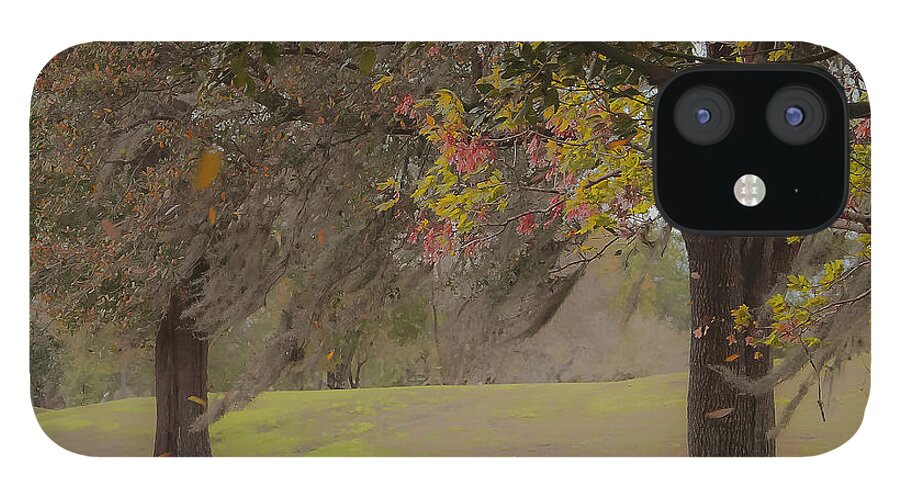 Trees iPhone 12 Case featuring the photograph Windy Edge by Pete Rems