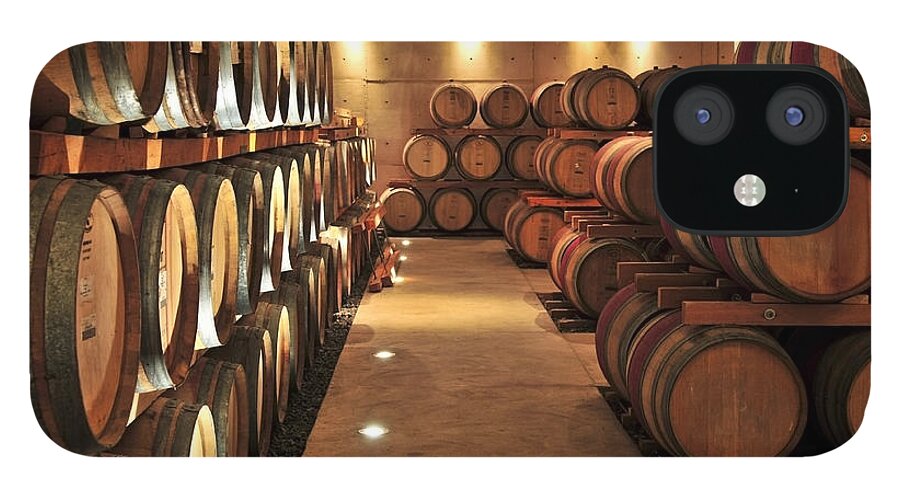 Barrels iPhone 12 Case featuring the photograph Wine barrels 1 by Elena Elisseeva