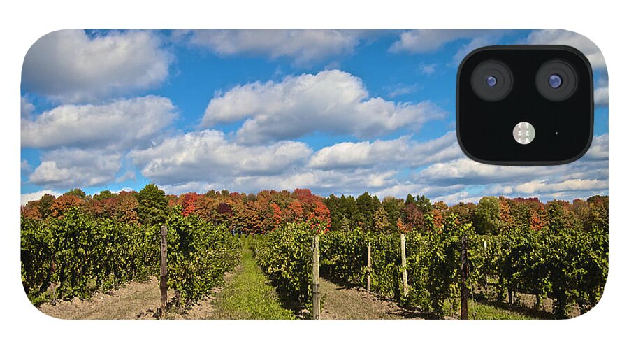 Finger Lakes iPhone 12 Case featuring the photograph Wine in Waiting by William Norton