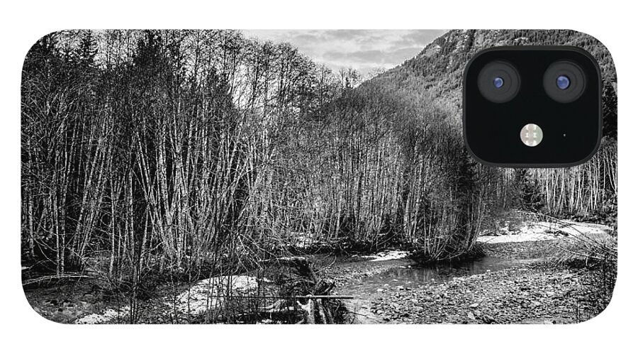 Black And White iPhone 12 Case featuring the photograph Winter Backroads Englishman River by Roxy Hurtubise