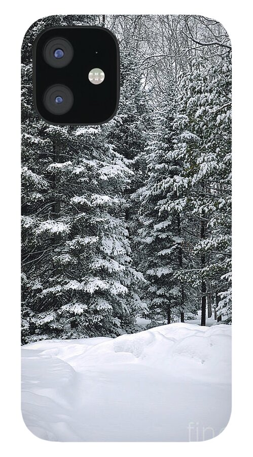Winter Scene Photo iPhone 12 Case featuring the photograph Winter Bliss by Gwen Gibson