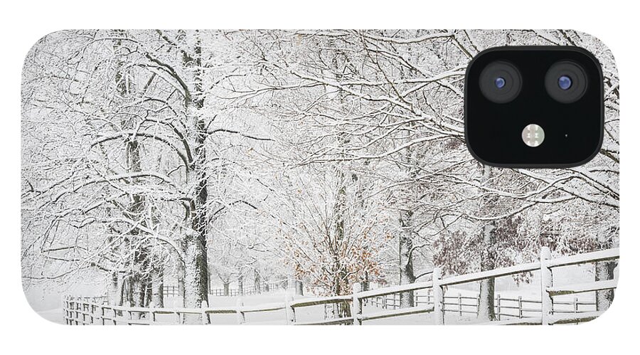 Snow iPhone 12 Case featuring the photograph Winter Fence by Oscar Gutierrez
