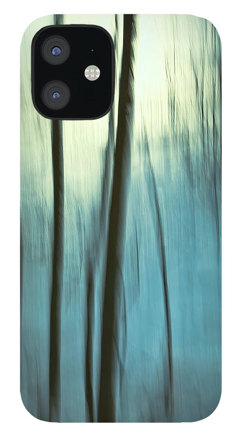 Landscape. Nature iPhone 12 Case featuring the photograph Winter Light by Jonathan Nguyen