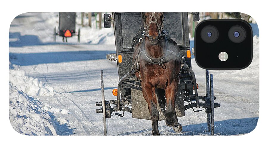 Horse iPhone 12 Case featuring the photograph Winter Travel by Craig Leaper