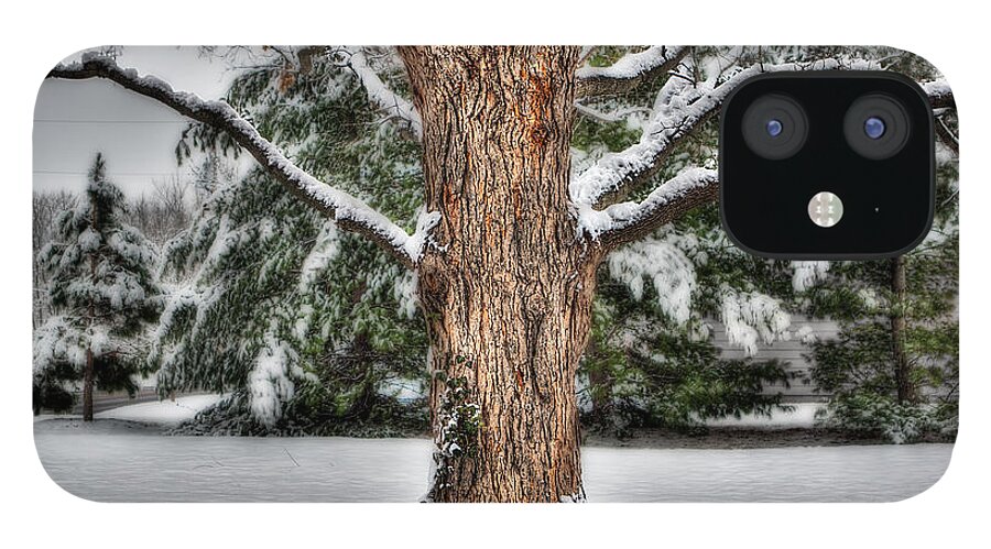 Color iPhone 12 Case featuring the photograph Winter Tree by Robert FERD Frank