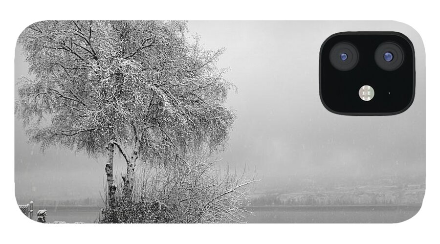  iPhone 12 Case featuring the photograph WinterPark04 by Guy Hoffman