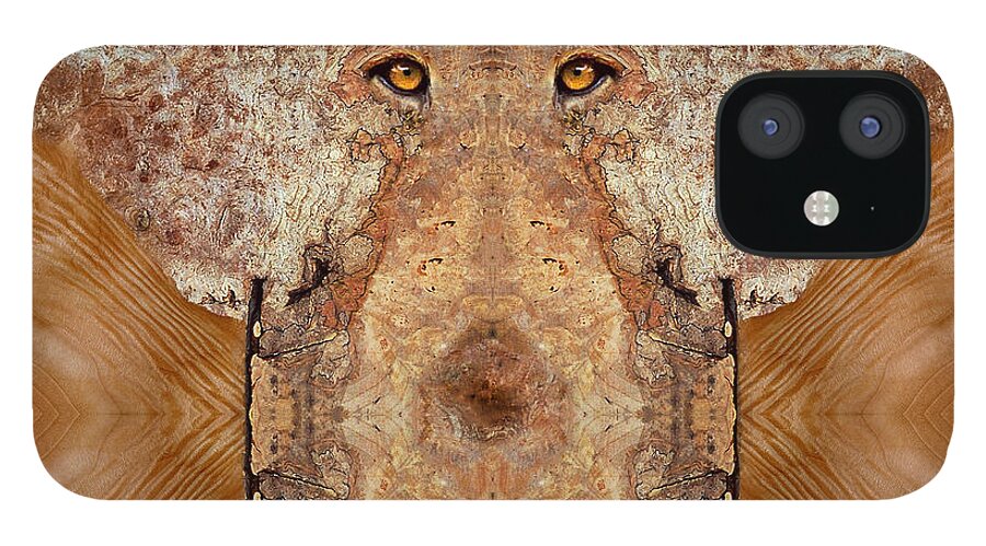 Wood iPhone 12 Case featuring the photograph Woody 45 by Rick Mosher