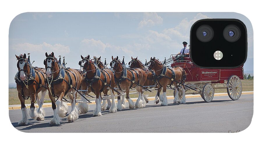 Clydesdales iPhone 12 Case featuring the photograph World Renown Clydesdales 2 by Kae Cheatham
