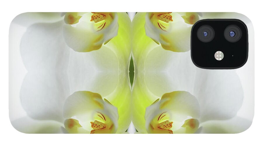 Tranquility iPhone 12 Case featuring the photograph Yellow And White Orchid by Silvia Otte