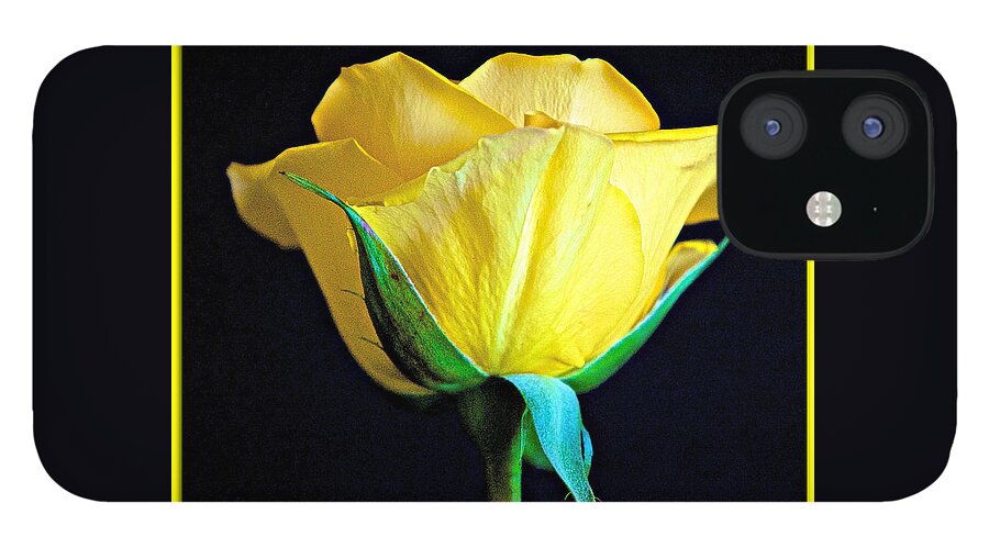 Roses iPhone 12 Case featuring the photograph Yellow Rose - Macro by Barbara Zahno