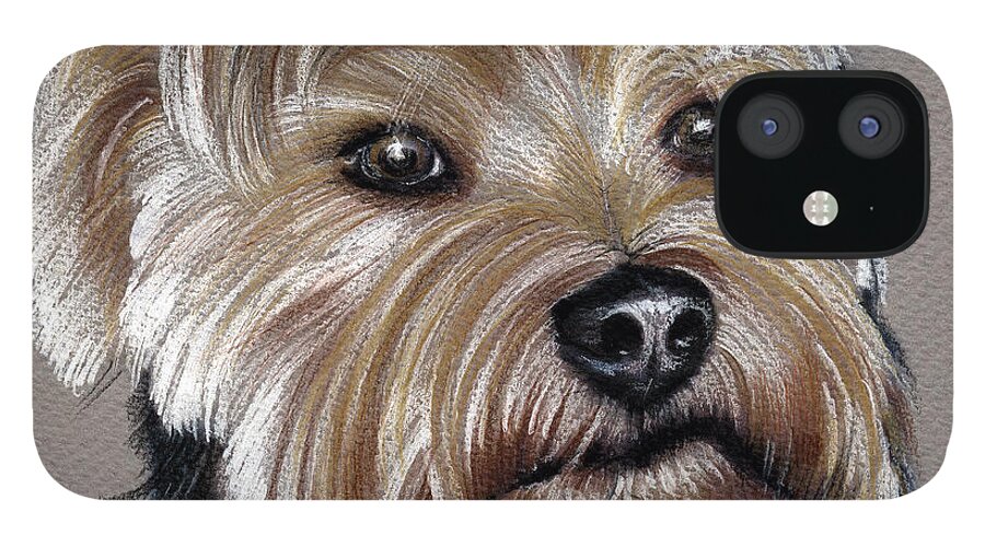 Yorkshire iPhone 12 Case featuring the drawing Yorkshire Terrier- drawing by Daliana Pacuraru