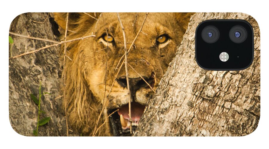 Africa iPhone 12 Case featuring the photograph You can't see me by Alistair Lyne