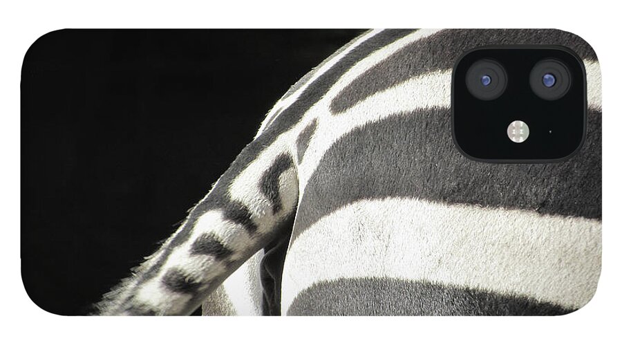 Black Color iPhone 12 Case featuring the photograph Zebra´s Back by Tioloco