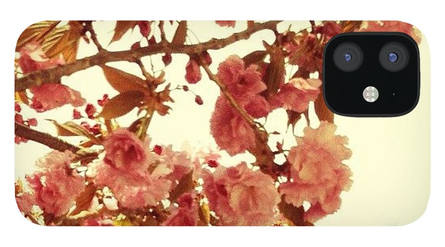 Mobilephotography iPhone 12 Case featuring the photograph Cherry Blossoms #3 by Natasha Marco