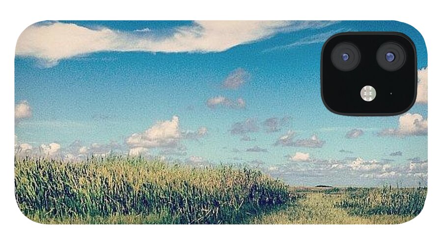 Everglades iPhone 12 Case featuring the photograph Best Time Everrr. #everglades by Cortney Herron